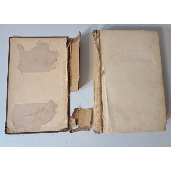 The History of Prostitution 1859 Antique Book Cover Torn Rare Edition W. Sanger - Picture 2 of 14